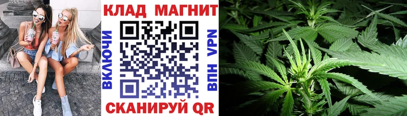 Купить наркоту Ногинск ГАШ  Бошки Шишки  Бутират  АМФ  Меф  APVP  Кокаин 