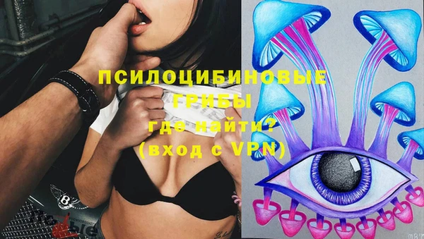 PSILOCYBIN Медвежьегорск