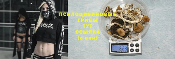 мдпв Медногорск