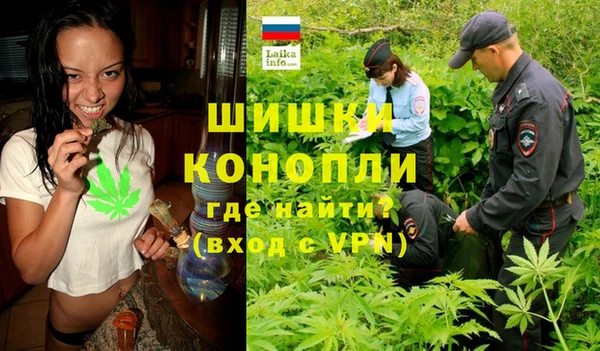 мдпв Медногорск